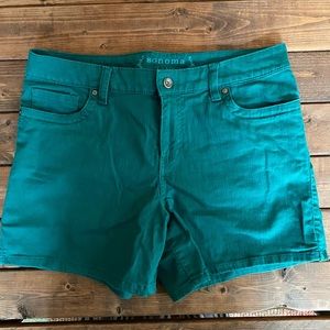 Teal Stretchy Denim Shorts